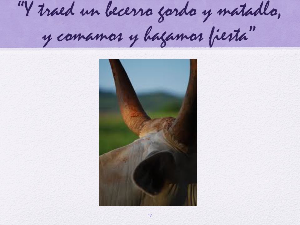 Y traed un becerro gordo y matadlo, y comamos y hagamos fiesta