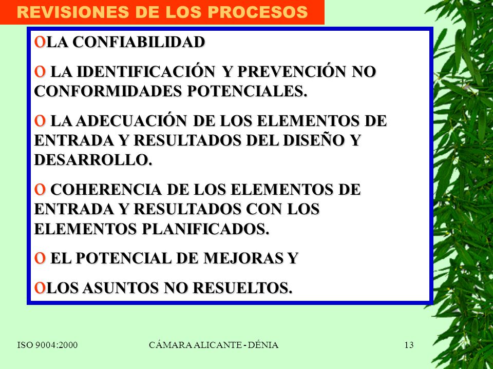 REVISIONES DE LOS PROCESOS