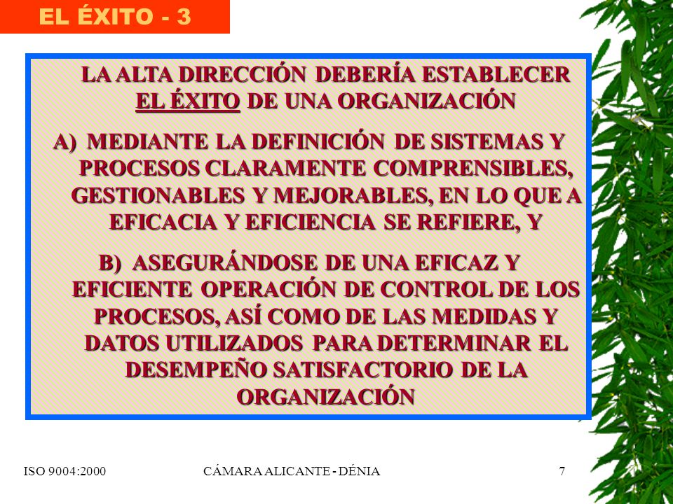 LA ALTA DIRECCIÓN DEBERÍA ESTABLECER EL ÉXITO DE UNA ORGANIZACIÓN
