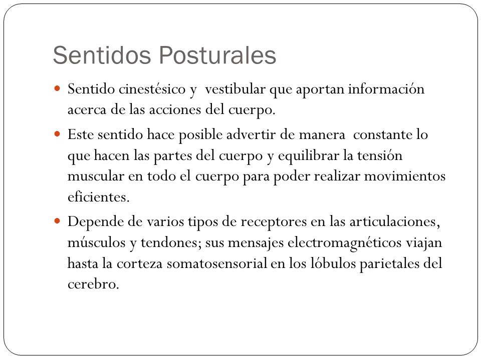Sentidos Posturales Sentido cinestésico y vestibular que aportan información acerca de las acciones del cuerpo.