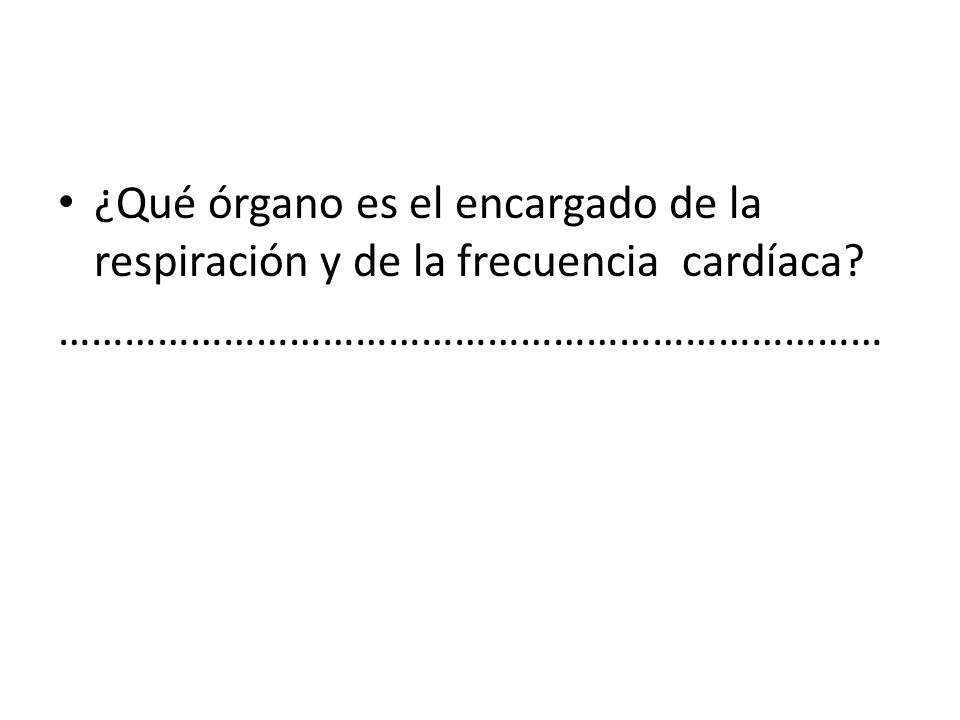 ¿Qué órgano es el encargado de la respiración y de la frecuencia cardíaca