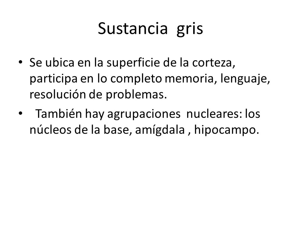 Sustancia gris Se ubica en la superficie de la corteza, participa en lo completo memoria, lenguaje, resolución de problemas.