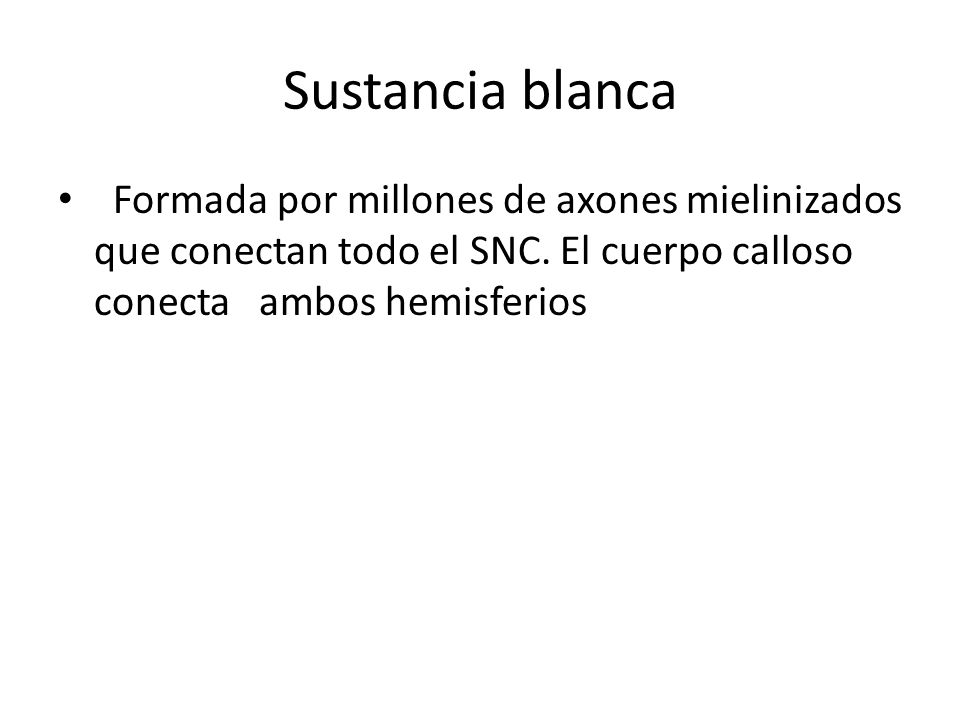 Sustancia blanca Formada por millones de axones mielinizados que conectan todo el SNC.