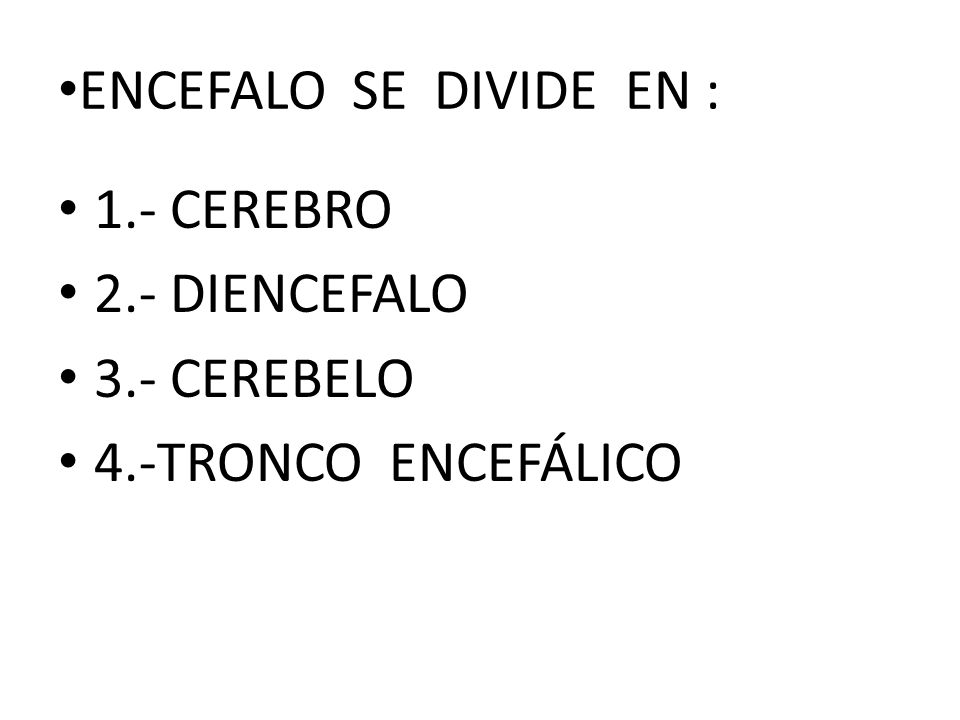 ENCEFALO SE DIVIDE EN : 1.- CEREBRO 2.- DIENCEFALO 3.- CEREBELO 4.-TRONCO ENCEFÁLICO