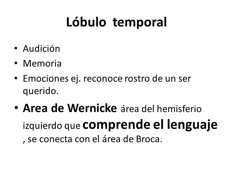 Lóbulo temporal Audición. Memoria. Emociones ej. reconoce rostro de un ser querido.