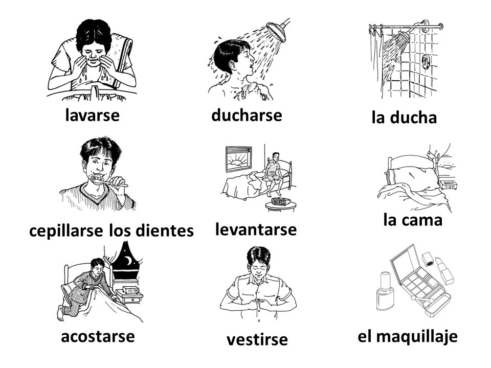 lavarse ducharse. la ducha. la cama. cepillarse los dientes. levantarse. acostarse. el maquillaje.