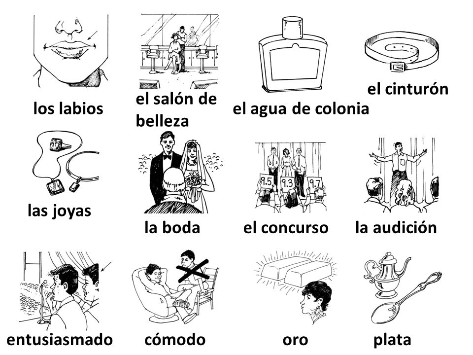 el cinturón el salón de belleza. los labios. el agua de colonia. las joyas. la boda. el concurso.