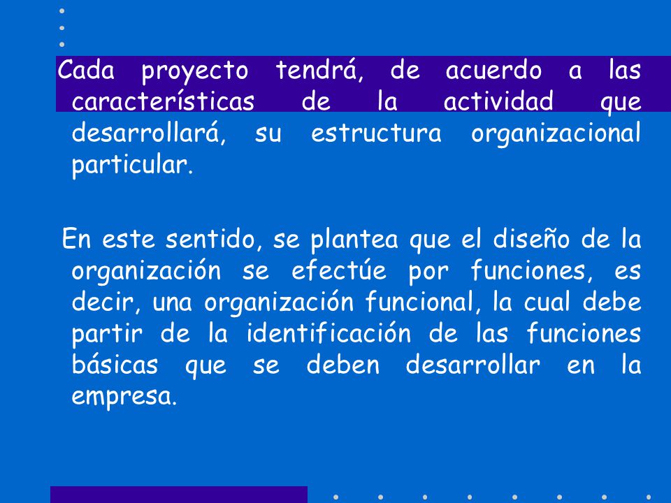 Cada proyecto tendrá, de acuerdo a las características de la actividad que desarrollará, su estructura organizacional particular.