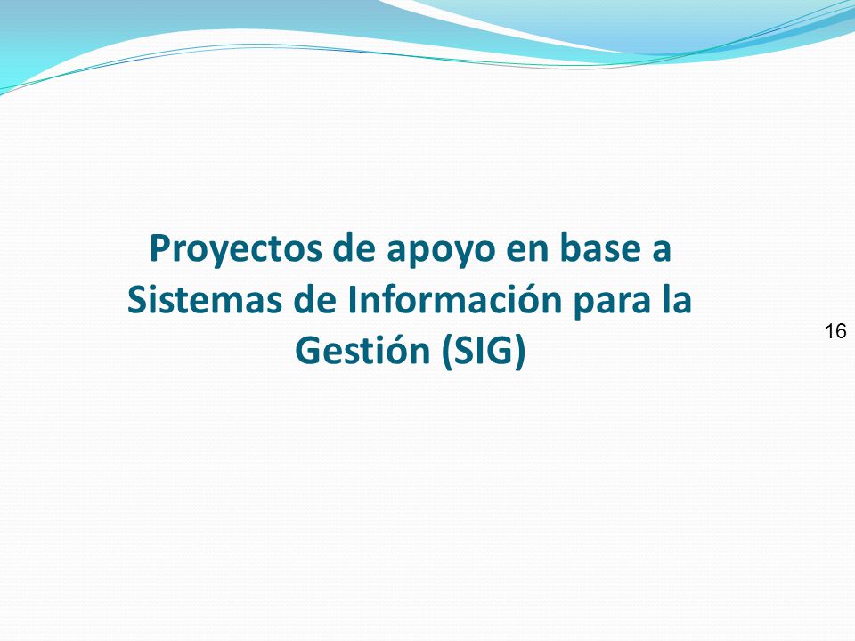 Proyectos de apoyo en base a Sistemas de Información para la Gestión (SIG)