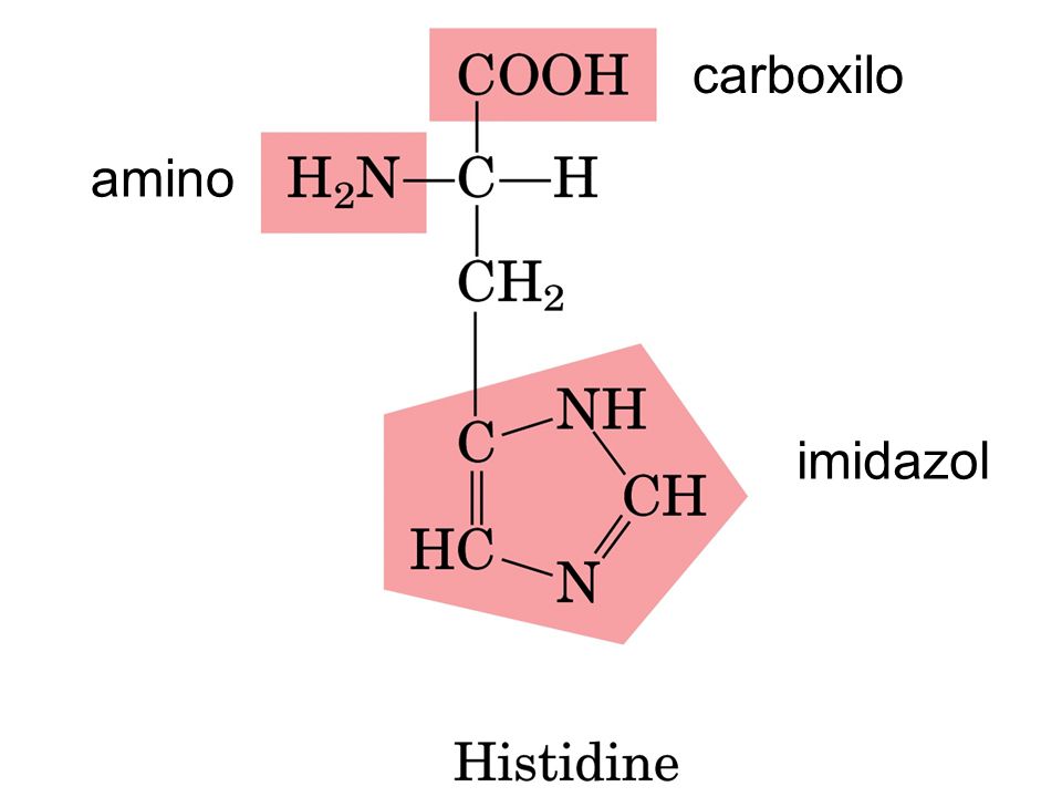 carboxilo amino imidazol