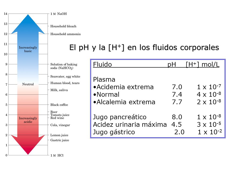 El pH y la [H+] en los fluidos corporales