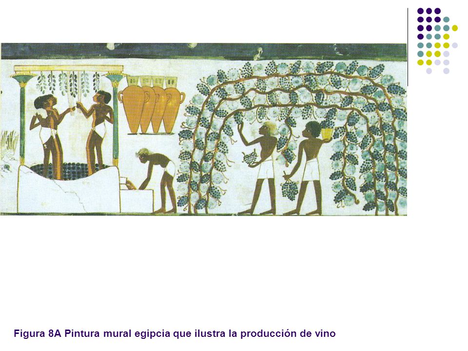 Figura 8A Pintura mural egipcia que ilustra la producción de vino
