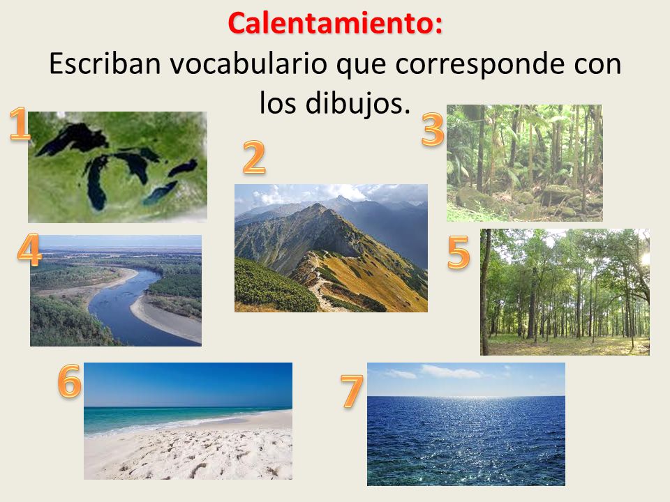 Calentamiento: Escriban vocabulario que corresponde con los dibujos.