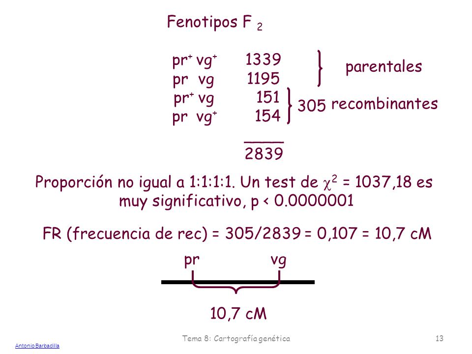 Proporción no igual a 1:1:1:1. Un test de 2 = 1037,18 es