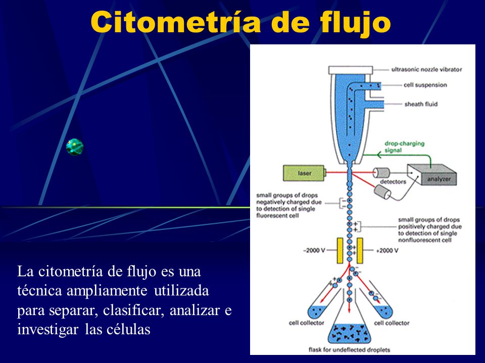Citometría de flujo La citometría de flujo es una técnica ampliamente utilizada para separar, clasificar, analizar e investigar las células.