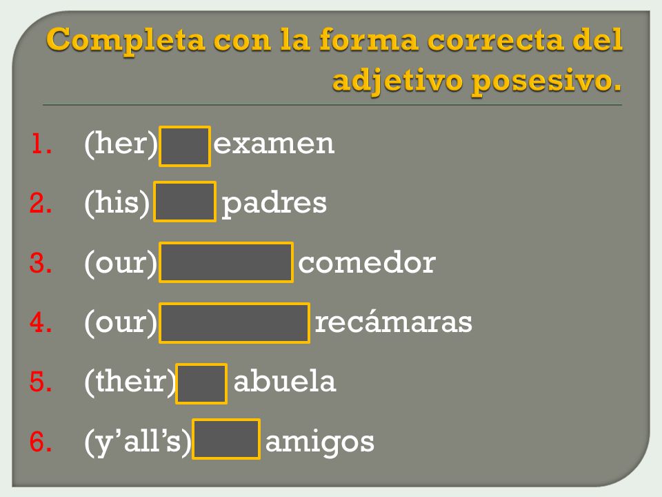 Completa con la forma correcta del adjetivo posesivo.