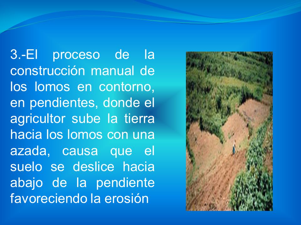 3.-El proceso de la construcción manual de los lomos en contorno, en pendientes, donde el agricultor sube la tierra hacia los lomos con una azada, causa que el suelo se deslice hacia abajo de la pendiente favoreciendo la erosión