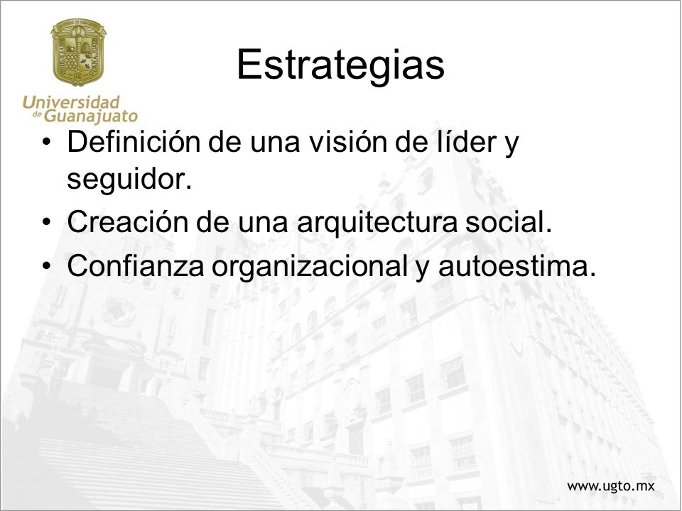 Estrategias Definición de una visión de líder y seguidor.