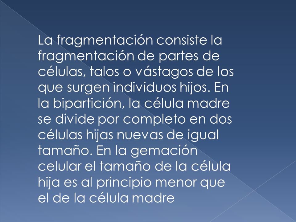 La fragmentación consiste la fragmentación de partes de células, talos o vástagos de los que surgen individuos hijos.