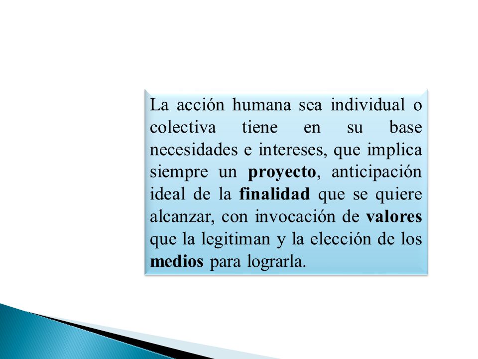 La acción humana sea individual o colectiva tiene en su base necesidades e intereses, que implica siempre un proyecto, anticipación ideal de la finalidad que se quiere alcanzar, con invocación de valores que la legitiman y la elección de los medios para lograrla.
