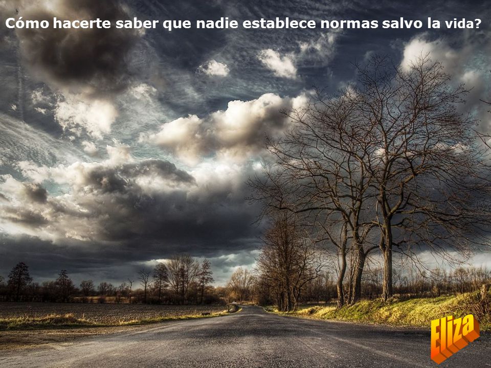 Cómo hacerte saber que nadie establece normas salvo la vida