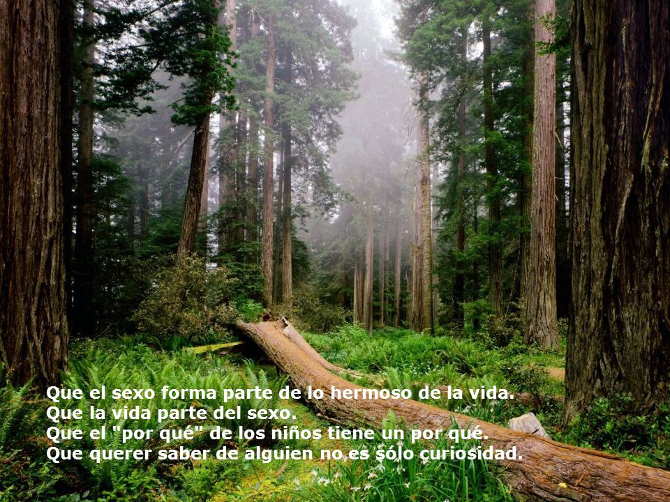 Que el sexo forma parte de lo hermoso de la vida.