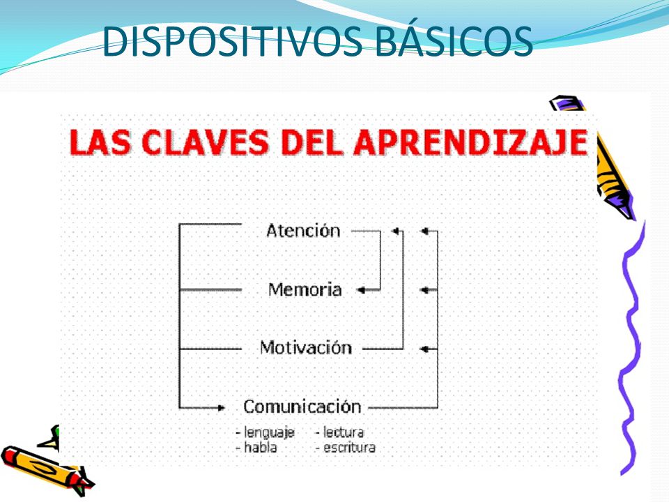 DISPOSITIVOS BÁSICOS