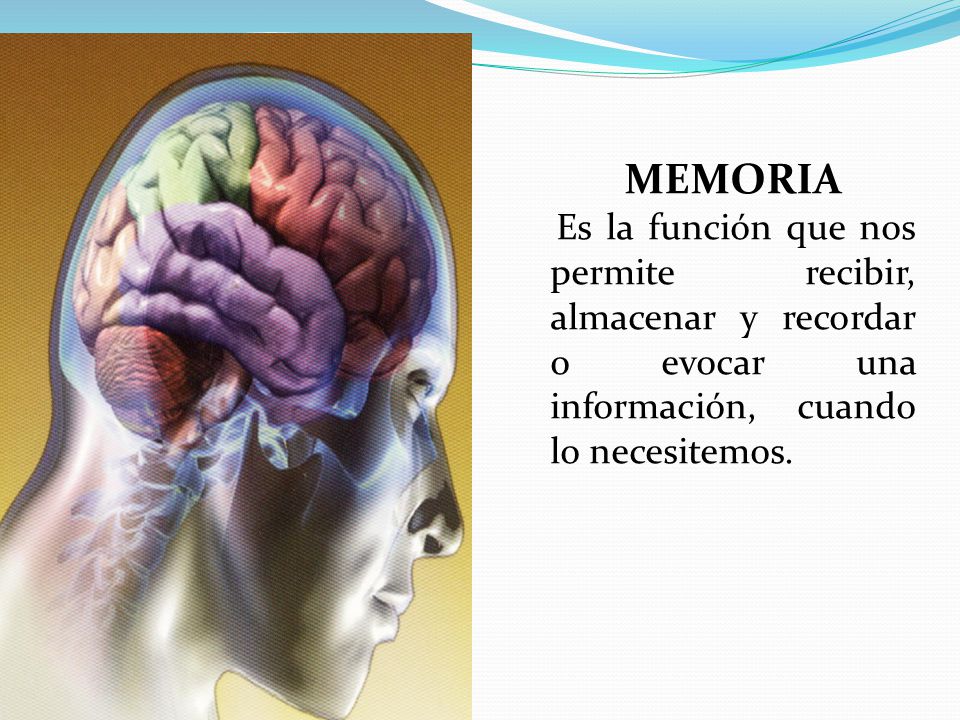 MEMORIA Es la función que nos permite recibir, almacenar y recordar o evocar una información, cuando lo necesitemos.