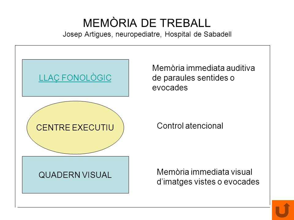 MEMÒRIA DE TREBALL Josep Artigues, neuropediatre, Hospital de Sabadell