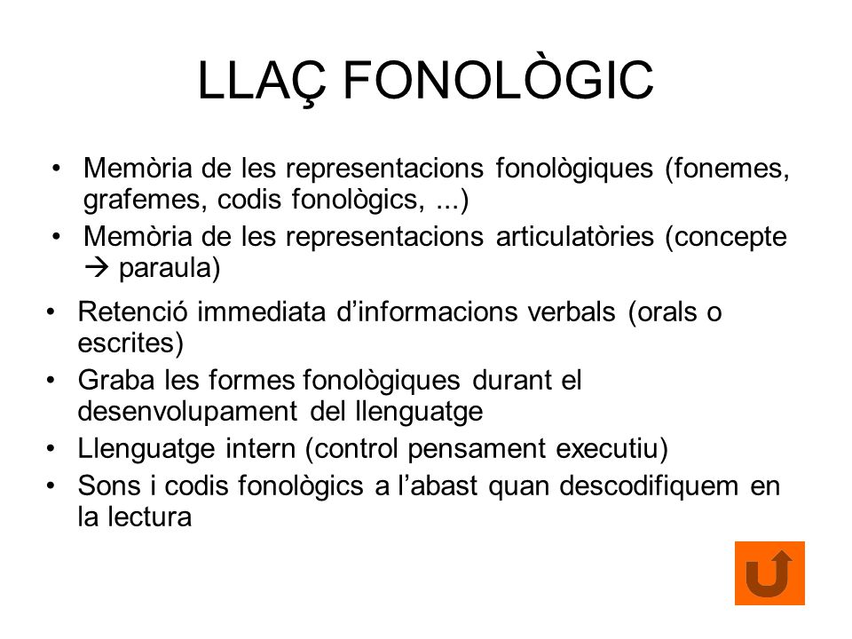 LLAÇ FONOLÒGIC Memòria de les representacions fonològiques (fonemes, grafemes, codis fonològics, ...)