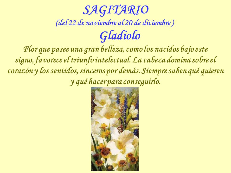 (del 22 de noviembre al 20 de diciembre ) Gladiolo
