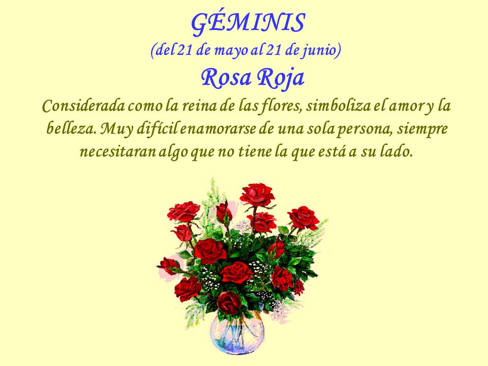 (del 21 de mayo al 21 de junio) Rosa Roja