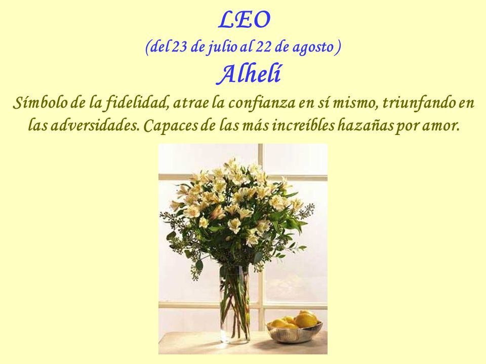 (del 23 de julio al 22 de agosto ) Alhelí