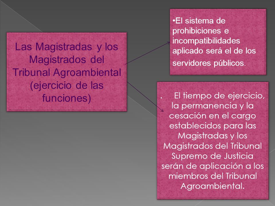 El sistema de prohibiciones e incompatibilidades aplicado será el de los servidores públicos.