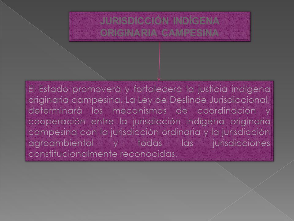 JURISDICCIÓN INDÍGENA ORIGINARIA CAMPESINA