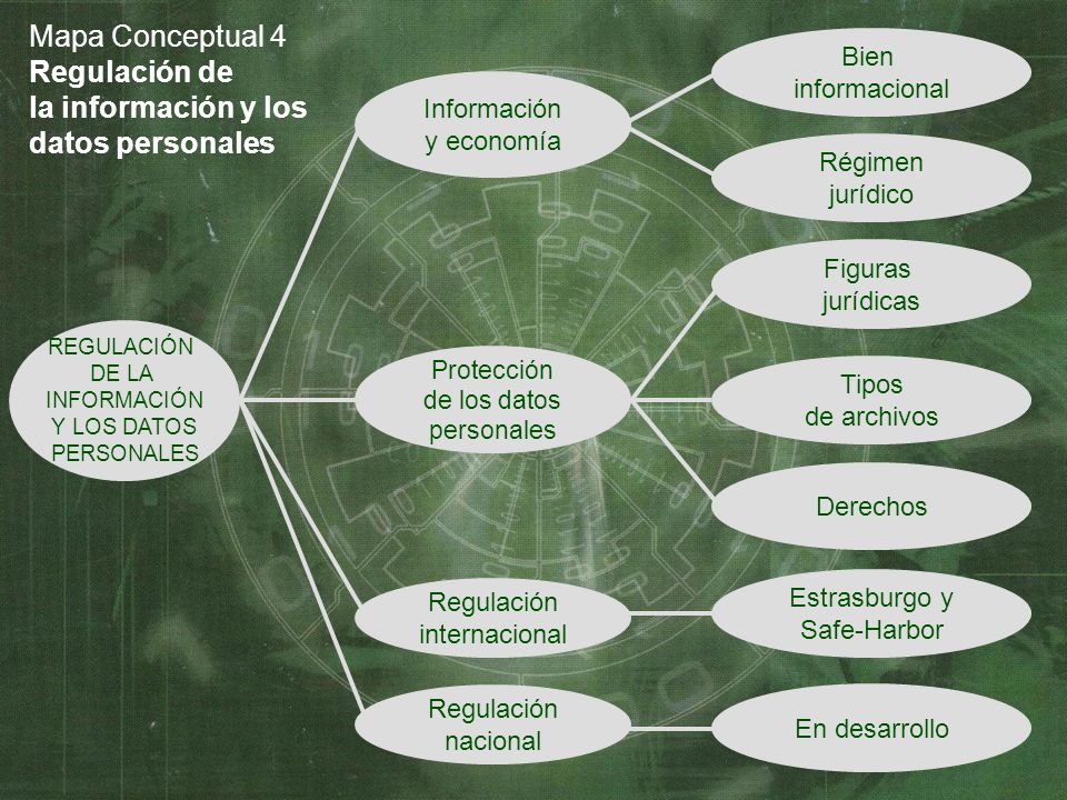 Mapa Conceptual 4 Regulación de la información y los datos personales