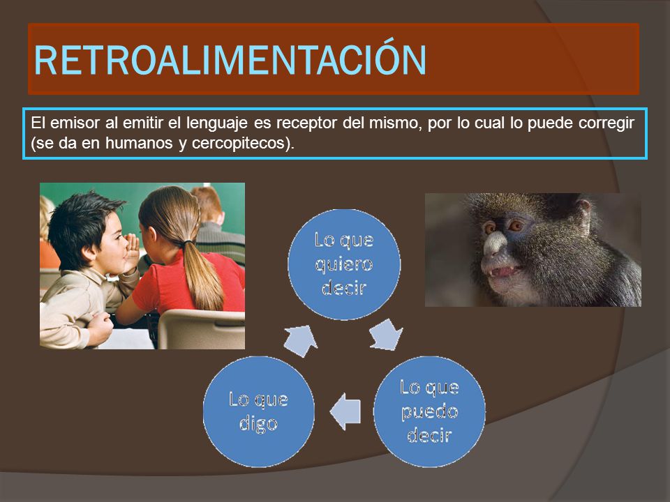 RETROALIMENTACIÓN El emisor al emitir el lenguaje es receptor del mismo, por lo cual lo puede corregir (se da en humanos y cercopitecos).