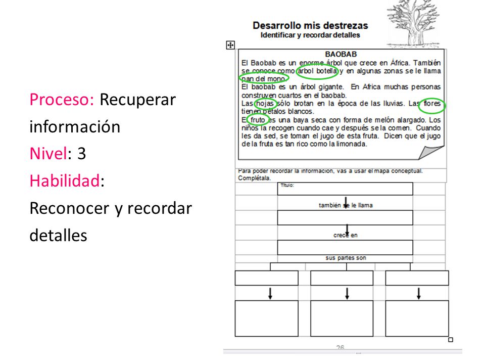 Proceso: Recuperar información Nivel: 3 Habilidad: Reconocer y recordar detalles
