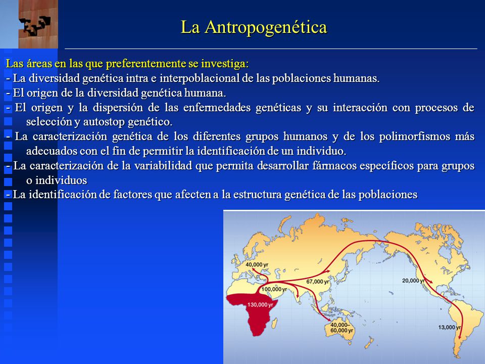 La Antropogenética Las áreas en las que preferentemente se investiga: