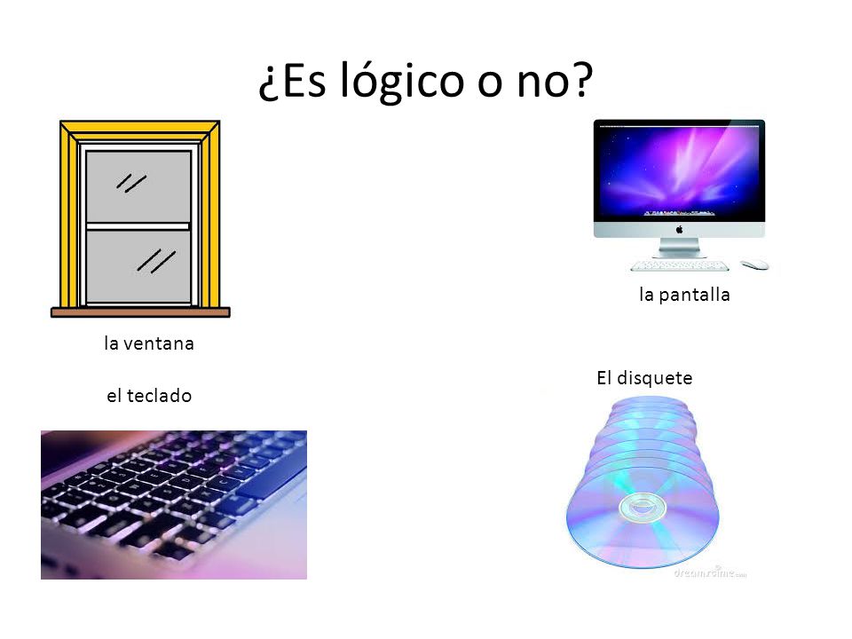 ¿Es lógico o no la pantalla la ventana El disquete el teclado