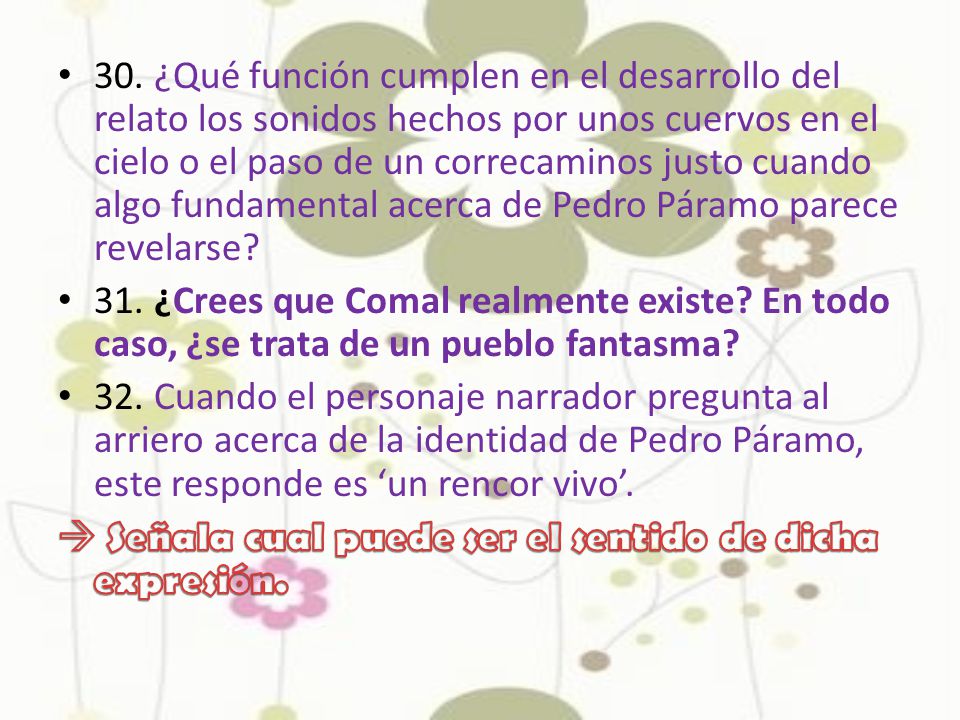 30. ¿Qué función cumplen en el desarrollo del relato los sonidos hechos por unos cuervos en el cielo o el paso de un correcaminos justo cuando algo fundamental acerca de Pedro Páramo parece revelarse