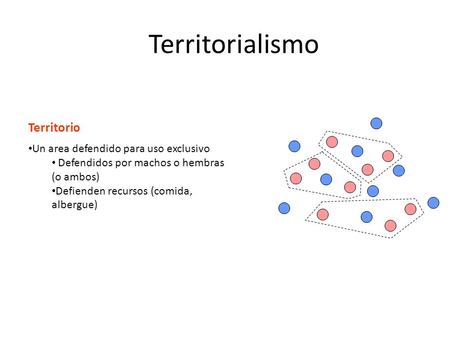 Territorialismo Territorio Un area defendido para uso exclusivo