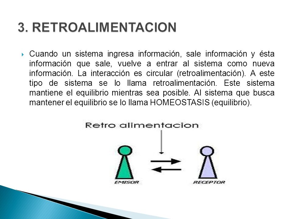 3. RETROALIMENTACION
