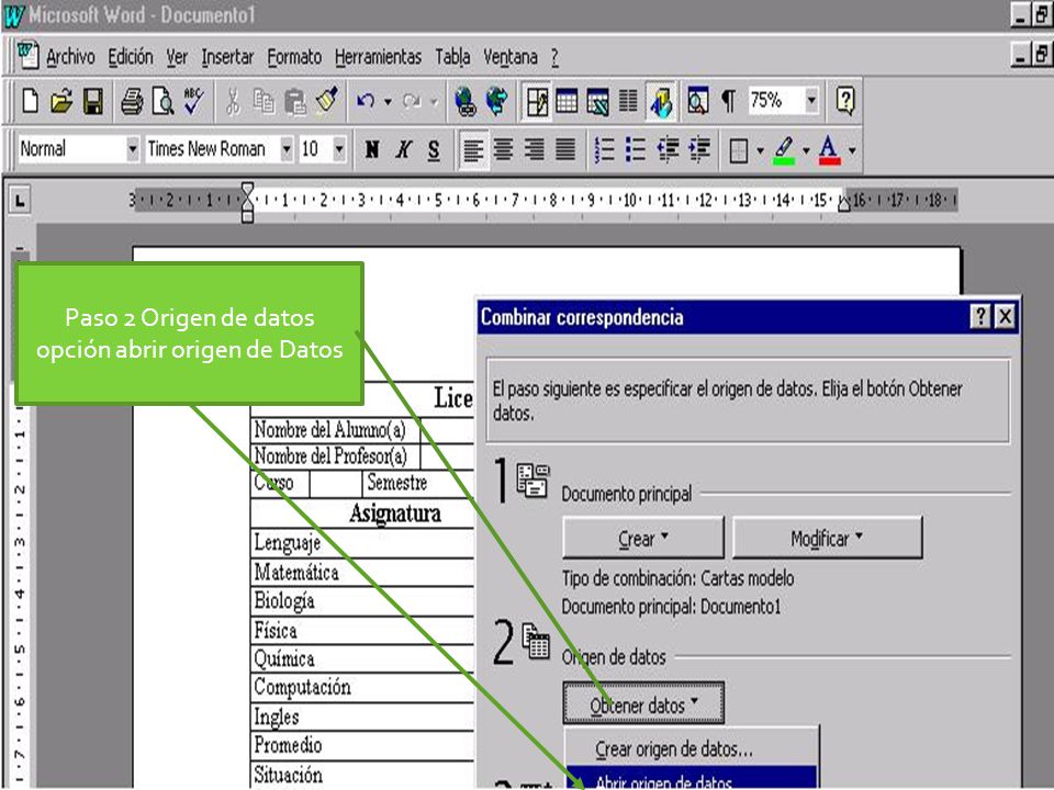 Paso 2 Origen de datos opción abrir origen de Datos