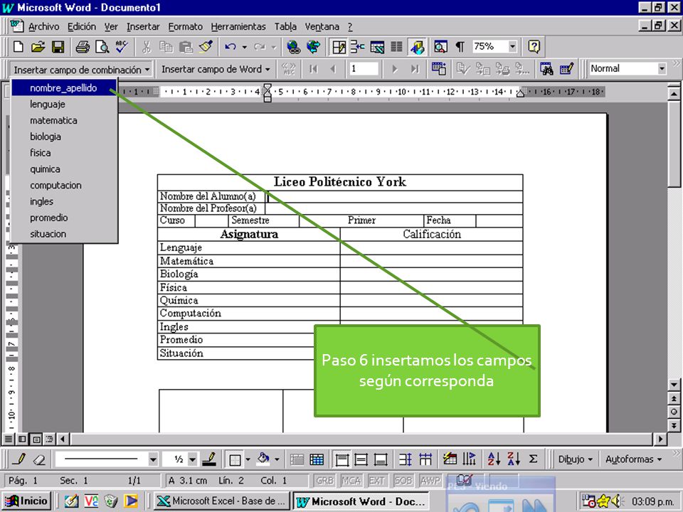 Paso 6 insertamos los campos según corresponda