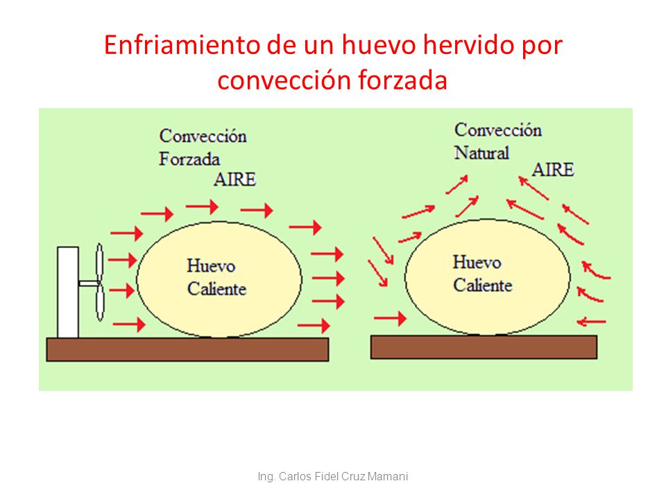 Enfriamiento de un huevo hervido por convección forzada