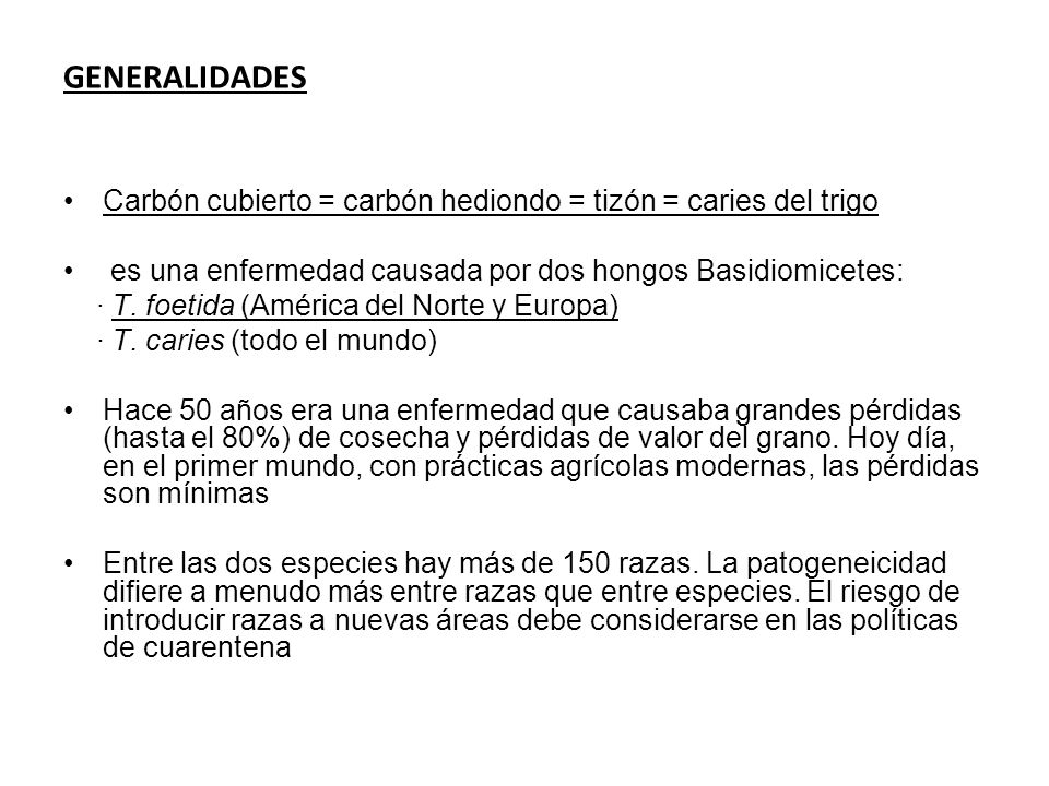 GENERALIDADES Carbón cubierto = carbón hediondo = tizón = caries del trigo. es una enfermedad causada por dos hongos Basidiomicetes: