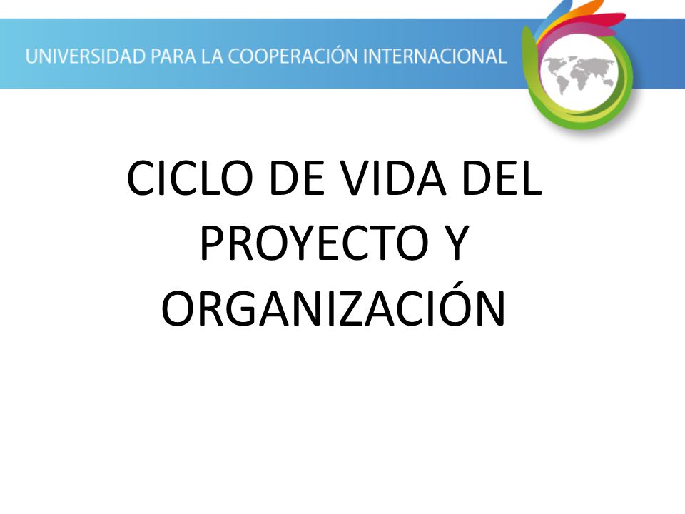 CICLO DE VIDA DEL PROYECTO Y ORGANIZACIÓN