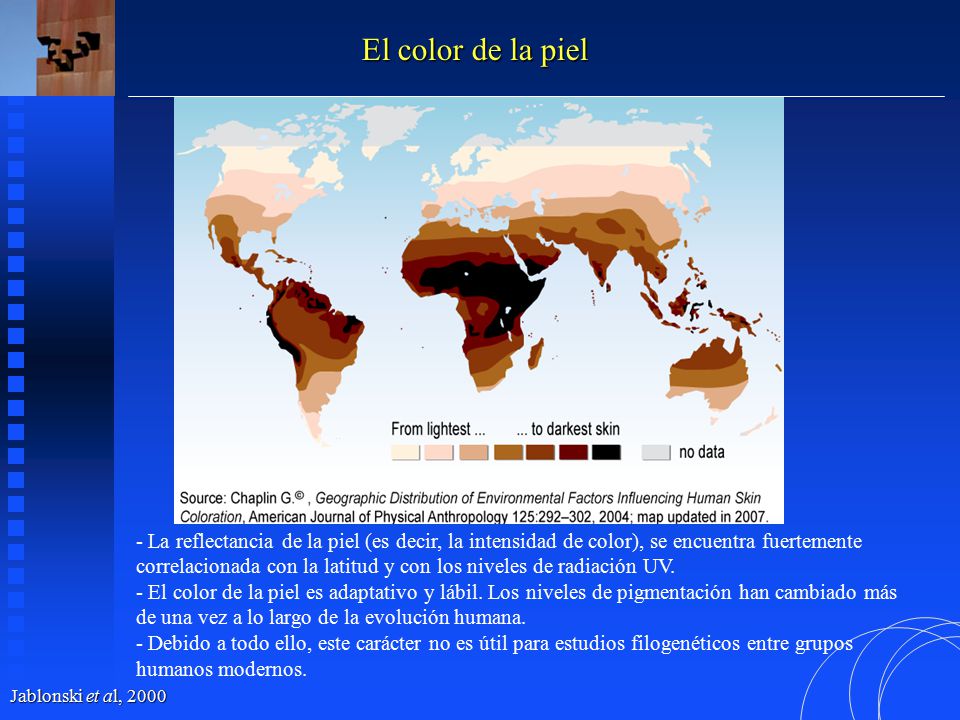 El color de la piel