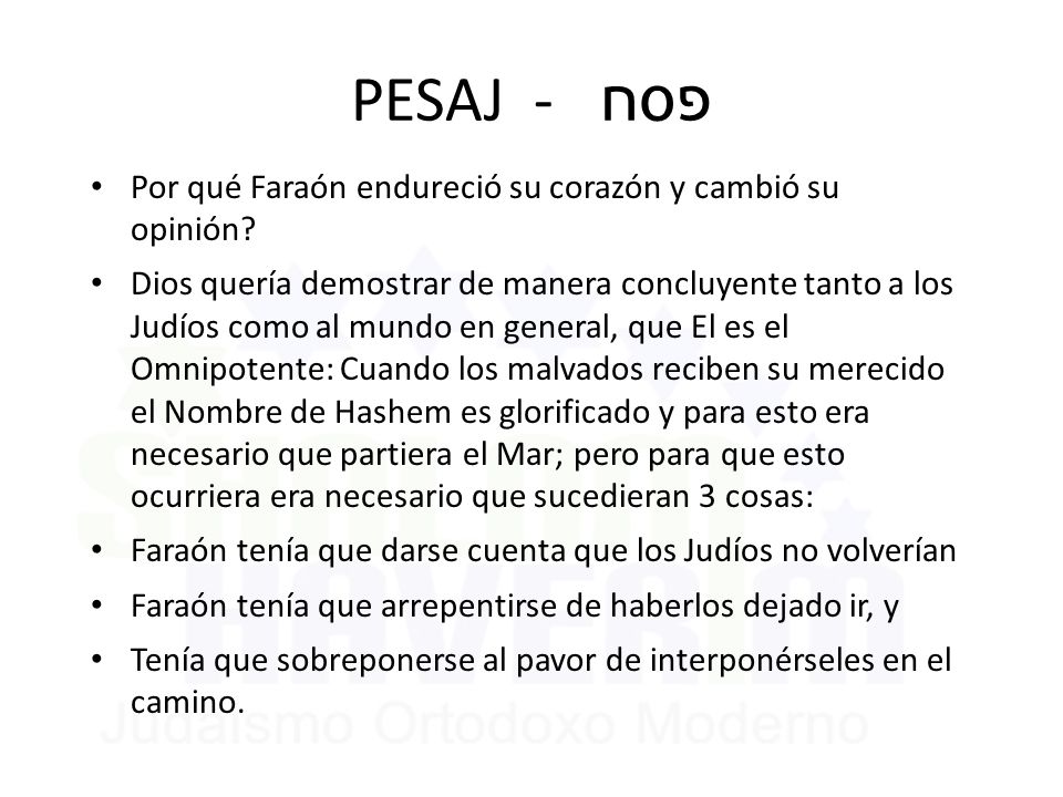 PESAJ - פסח Por qué Faraón endureció su corazón y cambió su opinión